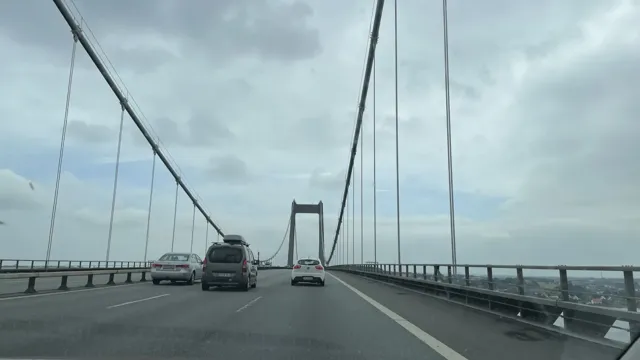 IMG_1260.webp